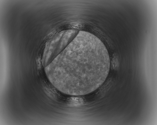 X0000103320520200810060957