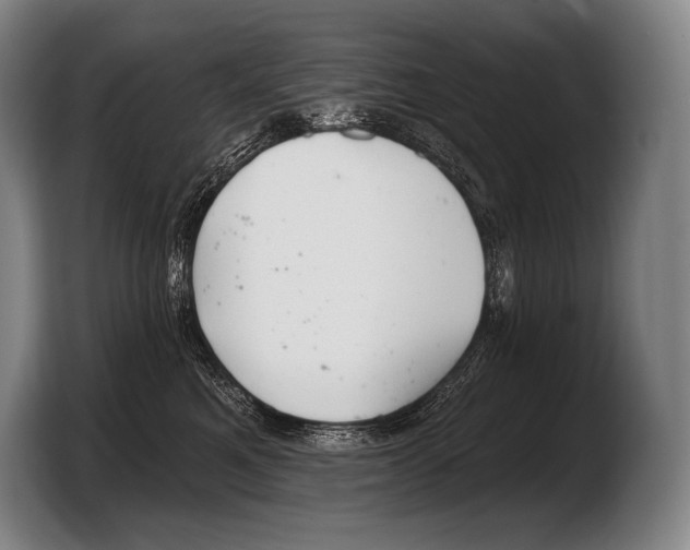 X0000103320521200810060957
