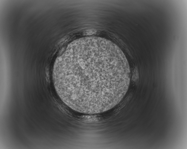 X0000103320524200810060957