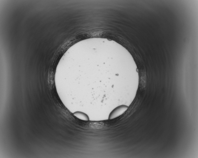 X0000103320525200810060957