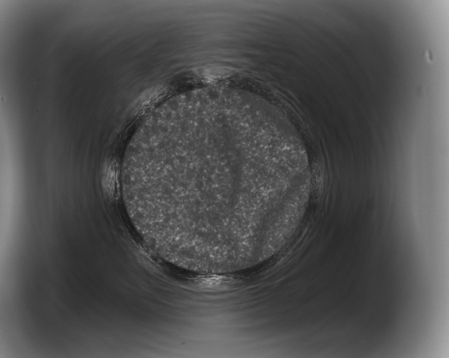 X0000103320527200810060957