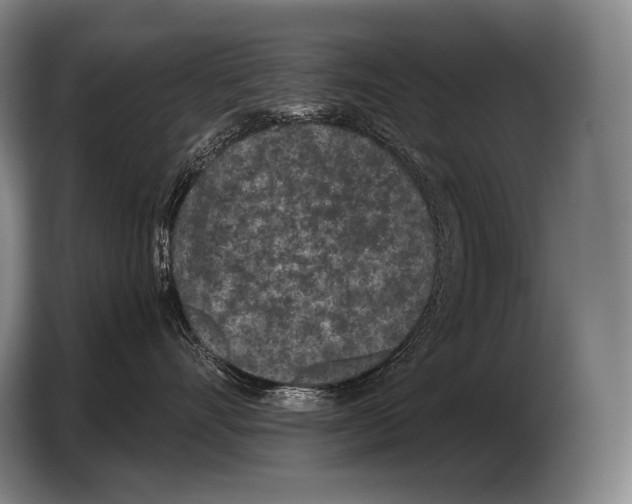 X0000103320528200810060957