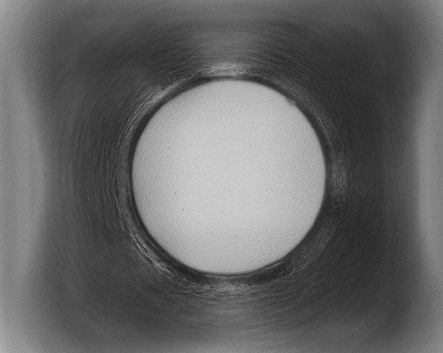 X0000103320529200810060956