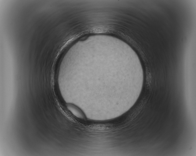 X0000103320530200810060956