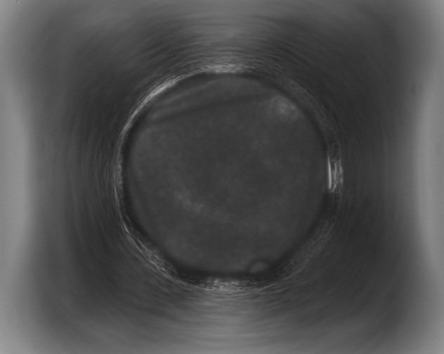 X0000103320531200810060956
