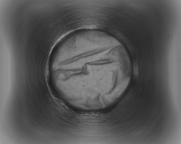 X0000103320532200810060956