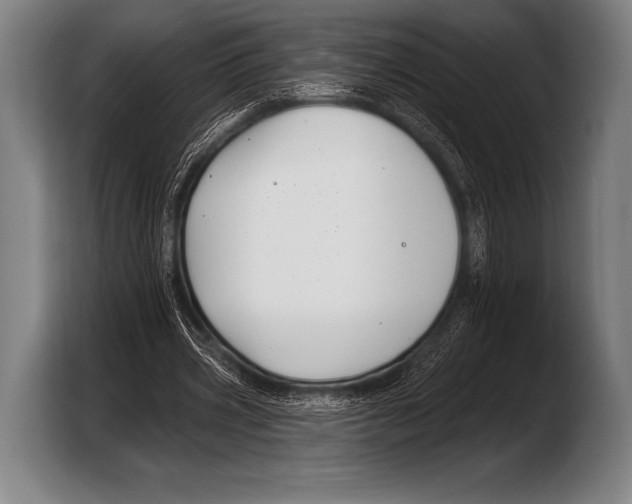 X0000103320533200810060956