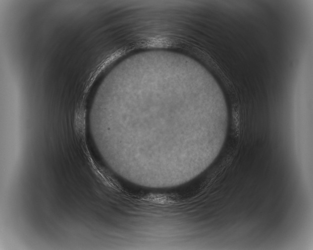 X0000103320534200810060956