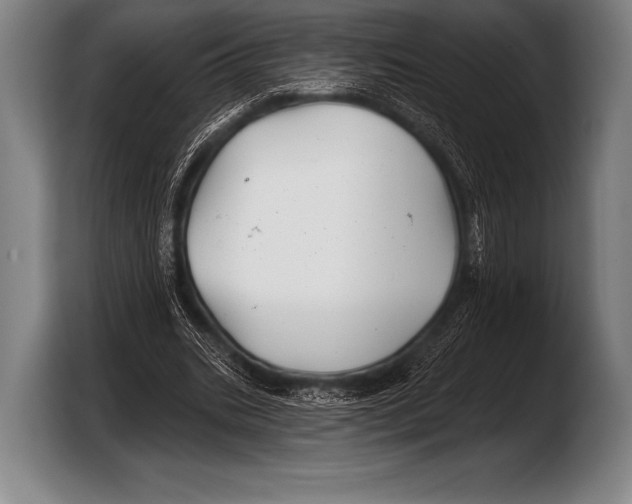 X0000103320535200810060956