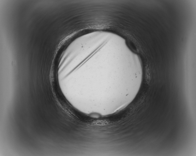 X0000103320536200810060956
