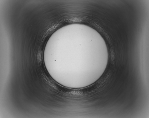 X0000103320537200810060956