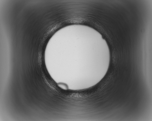 X0000103320538200810060956