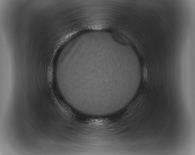 X0000103320540200810060956