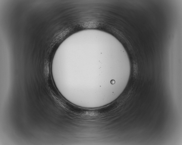 X0000103320541200810060956