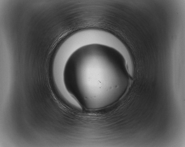 X0000103320542200810060956