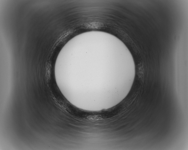X0000103320544200810060957