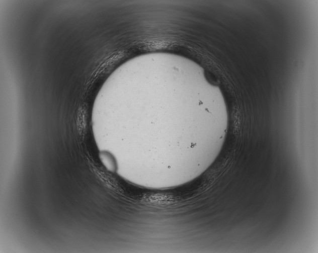 X0000103320546200810060957