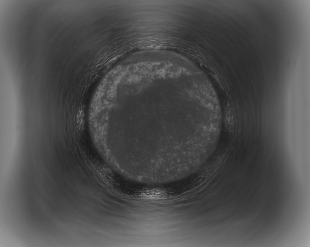X0000103320551200810060957