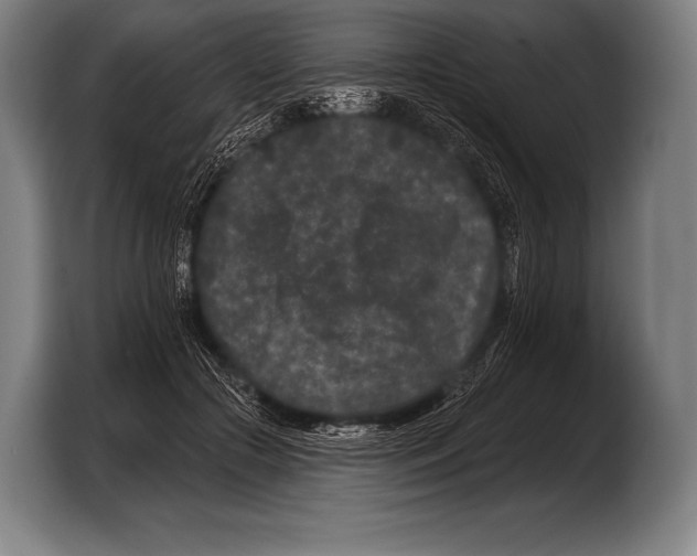 X0000103320553200810060957