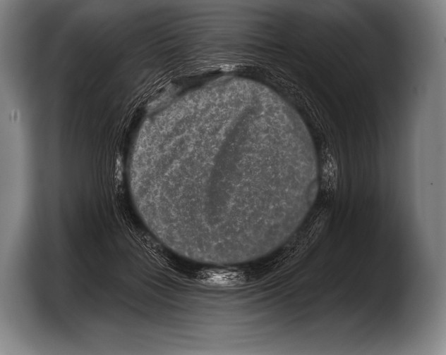 X0000103320555200810060957