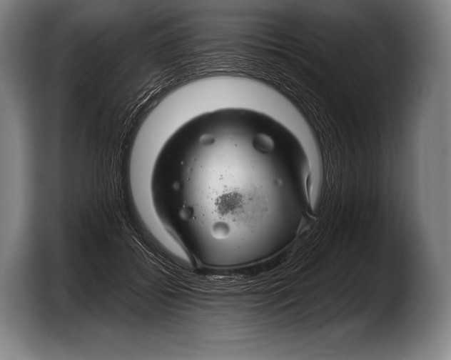 X0000103320556200810060957