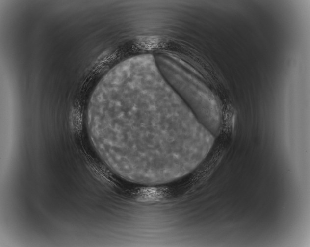 X0000103320558200810060957