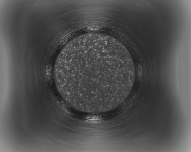 X0000103320559200810060957
