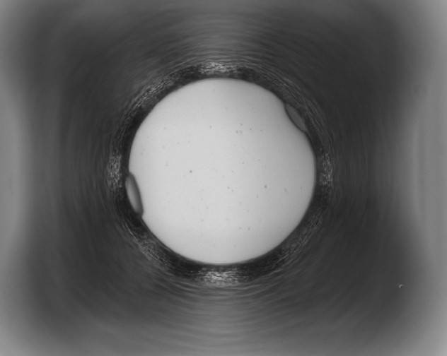 X0000103320560200810060957