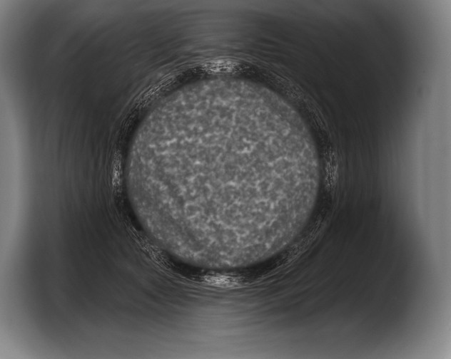 X0000103320561200810060957