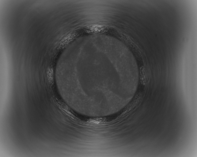 X0000103320563200810060957