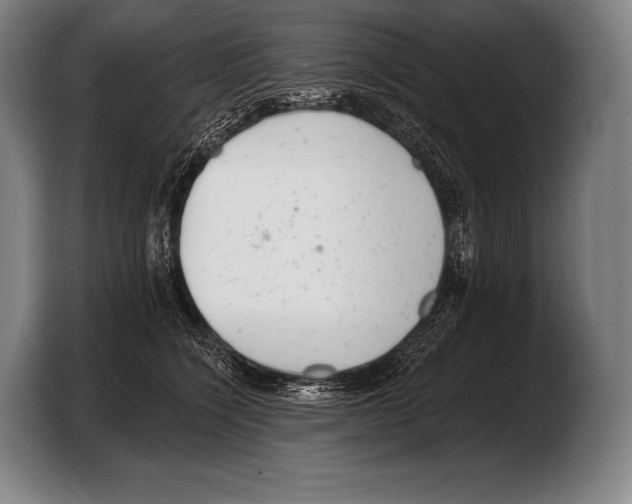 X0000103320564200810060957