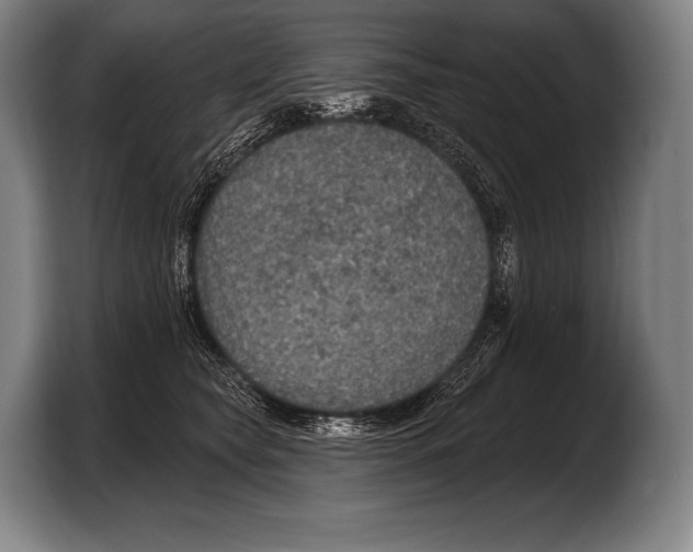 X0000103320565200810060957