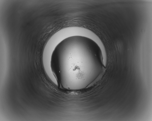 X0000103320566200810060957