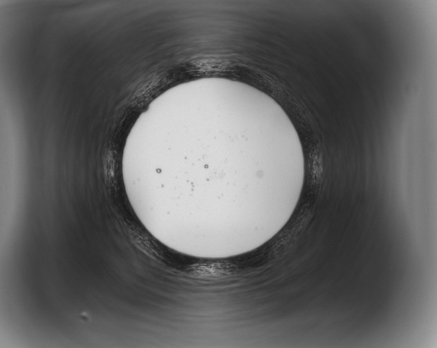 X0000103320567200810060957