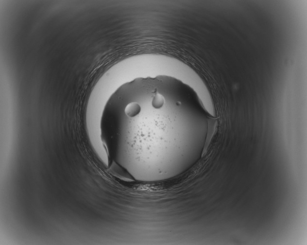 X0000103320568200810060957