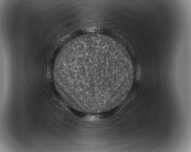 X0000103320569200810060957