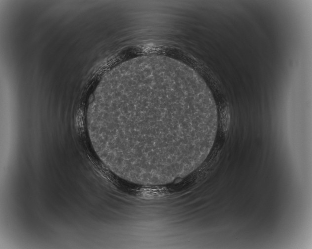 X0000103320571200810060957