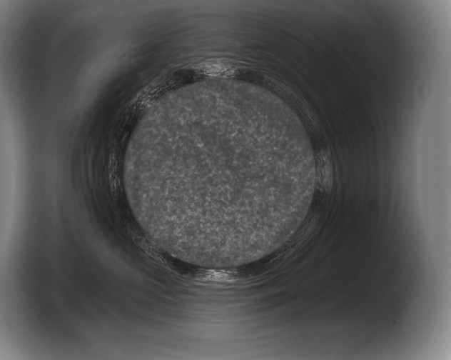 X0000103320573200810060957