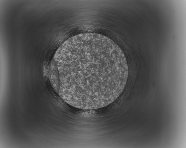 X0000103320576200810060957