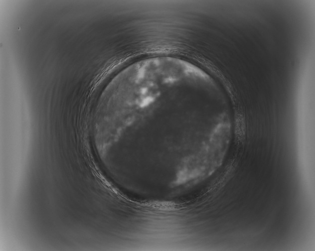 X0000103320577200810060956