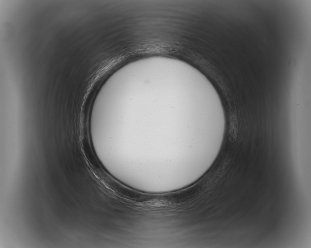 X0000103320578200810060956