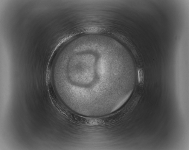 X0000103320579200810060956