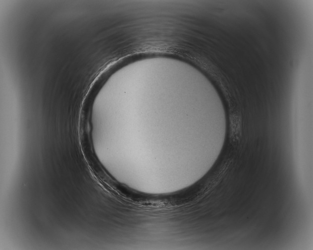 X0000103320580200810060956