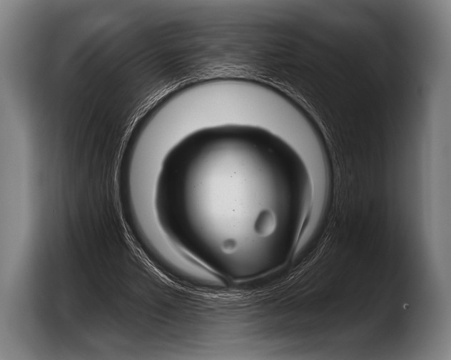 X0000103320581200810060956