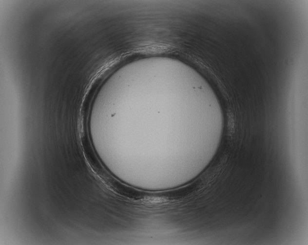 X0000103320582200810060956