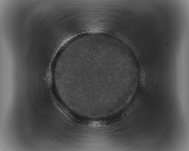 X0000103320584200810060956