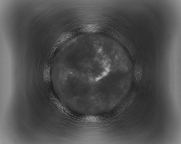 X0000103320585200810060956