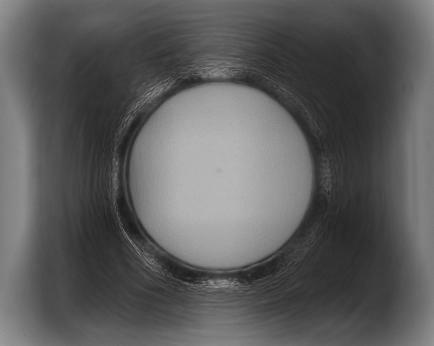 X0000103320586200810060956