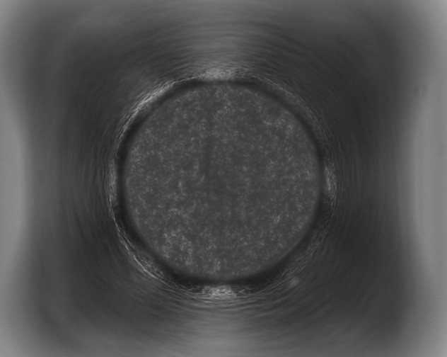 X0000103320588200810060956