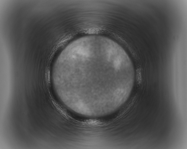 X0000103320589200810060956